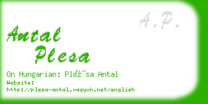 antal plesa business card